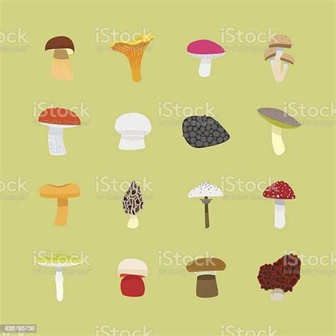 Cartoon Mushrooms Icon Set Flat Design Style Edible And Poisonous