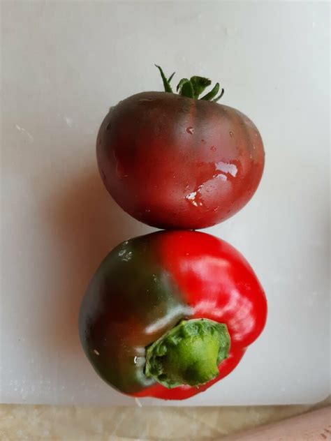 Ces drôles de légumes par Jeanne Amap de Bègles