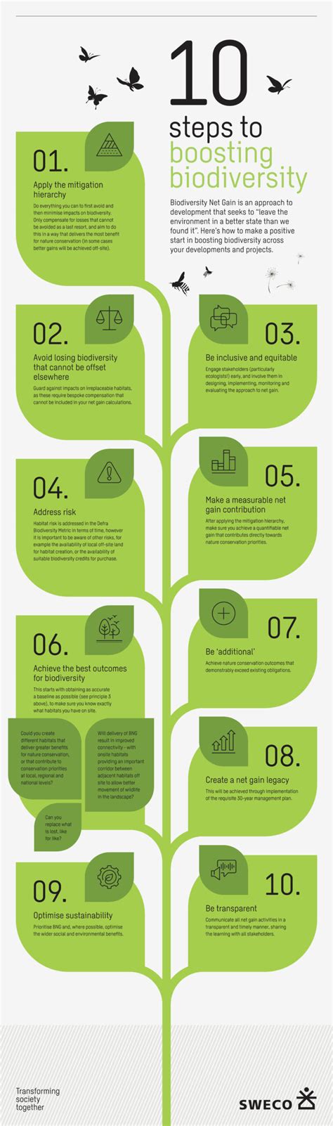 Infographic How To Achieve Biodiversity Net Gain Sweco Uk