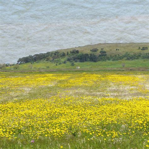 Πιστοποίηση Terra Vita - Αγροτική παράδοση & βιοποικιλότητα