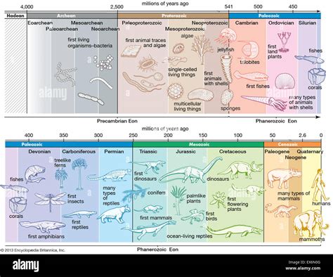 Geologic time scale Stock Photo - Alamy