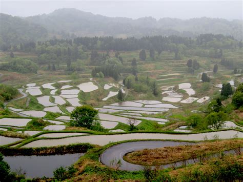 'Senmaida': Scenic rice terraces evoking old Japan - Japan Today