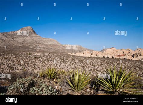 Red Rock Canyon, Nevada, USA Stock Photo - Alamy