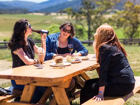 Pyengana Dairy Farm Gate Cafe East Coast Tasmania