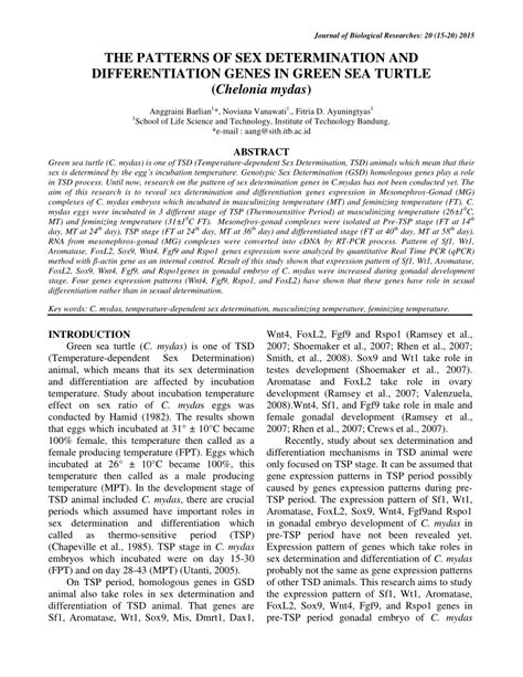 PDF The Patterns Of Sex Determination And Differentiation Genes In Green Sea Turtle Chelonia