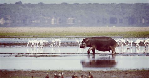 ST LUCIA & The iSimangaliso Wetland Park | Ghost Mountain Inn