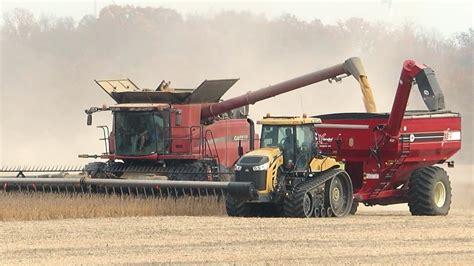 Soybean Harvest Case Ih Axial Flow Combine Harvesting