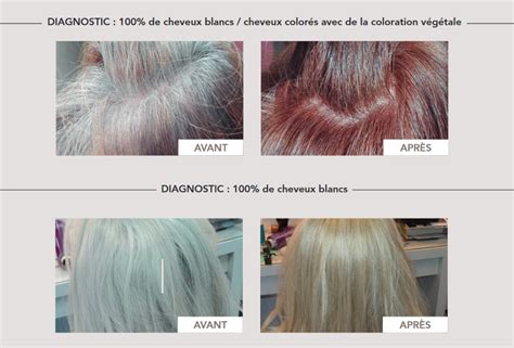 Patrice Mulato Salon De Coiffure Daniel C