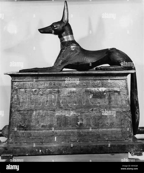 Tutankhamens Grab Statue Anubis Schakal Gott Fotos Und Bildmaterial