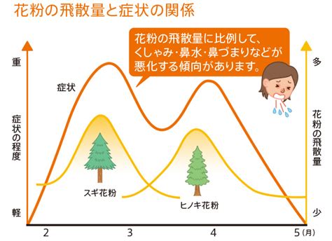 花粉の飛散量と症状の関係｜花粉症ナビ