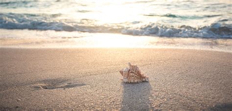 Quali Sono Le Spiagge Migliori Della Riviera Romagnola Gnius Viaggi