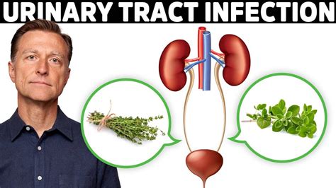 Best Remedy For A Uti Urinary Tract Infection Youtube In