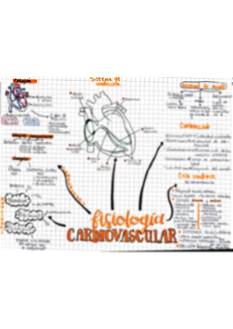 Solution Fisiolog A Cardiovascular Studypool