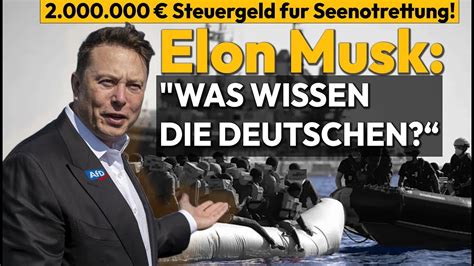 Invasion in Europa Musk mit Wahlempfehlung für AfD YouTube