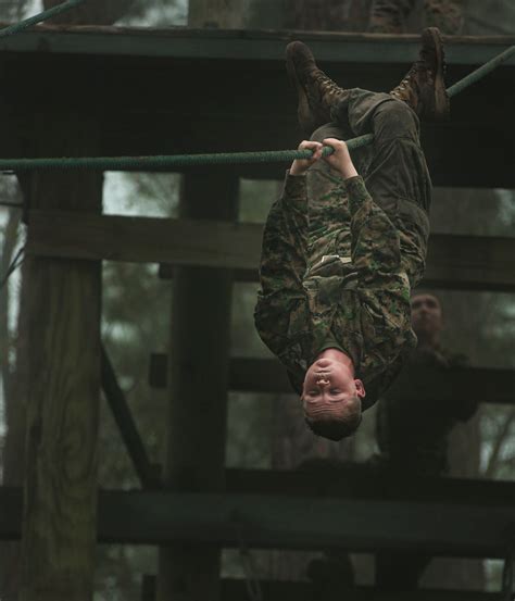 DVIDS Images Delta Company Confidence Course Image 11 Of 19