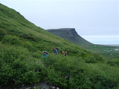 Icelands Best Beach Rauðisandur Then Up And Over The Mountain To