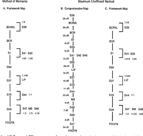 Neurofibromatosis Type 2 Chromosome 22