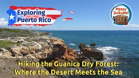 Hiking The Guanica Dry Forest Where The Desert Meets The Sea Youtube