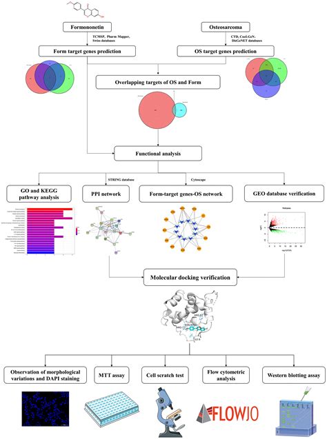 Anti Cancer Targets And Molecular Mechanisms Of Formononetin In