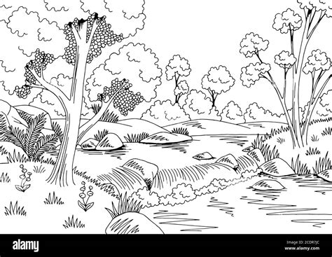 Clipart Forest Black And White