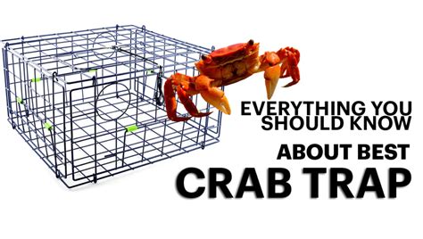 Everything You Should Know About The Best Crab Trap Design - Seafoods