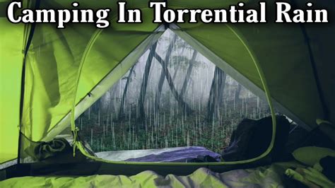 Camping In The Rain, Tent, Heavy Rainstorm, Forest, ASMR - Camping Alert