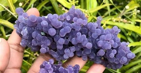 Виноградный халцедон — агат, который очень похож на ягоды | Пикабу