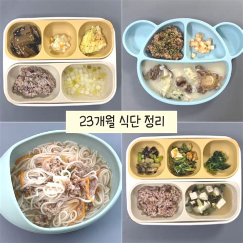 23개월아기반찬 유아식 유아식단 아이식단 돌아기 두돌아기 식단 네이버 블로그