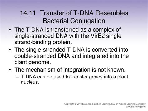 Chapter 14 Extrachromosomal Replication Ppt Download