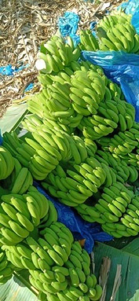 A Grade Fresh Cavendish Banana Packaging Size 10kg Packaging Type