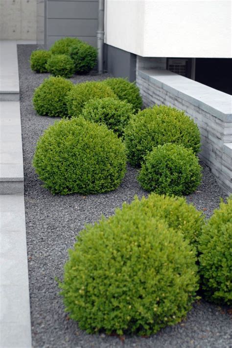 Minimalist Front Yard Landscaping Ideas