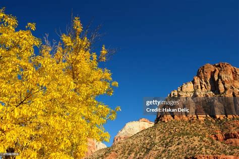 Bridge Mountain Zion National Park Utah High Res Stock Photo Getty Images