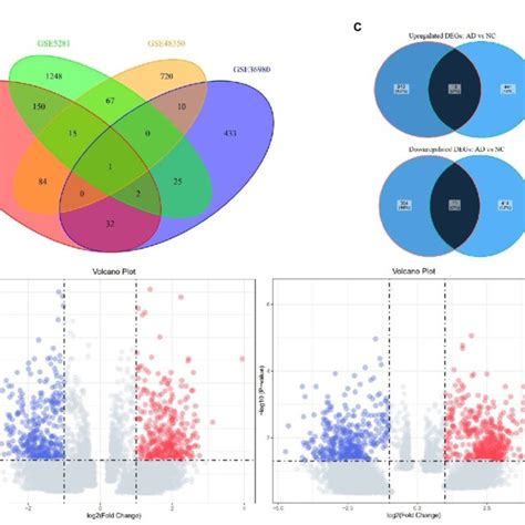 Venn Diagrams Of Four Datasets And Volcano Plots Of DEGs In The Groups