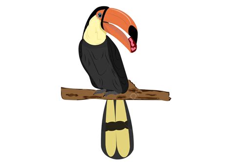 Gambar Ilustrasi Burung Enggang Png Vektor Psd Dan Clipart Dengan