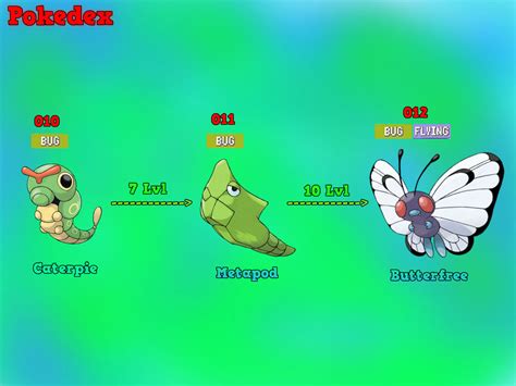 Tree Of Evolution Caterpie By Mawilexy On Deviantart