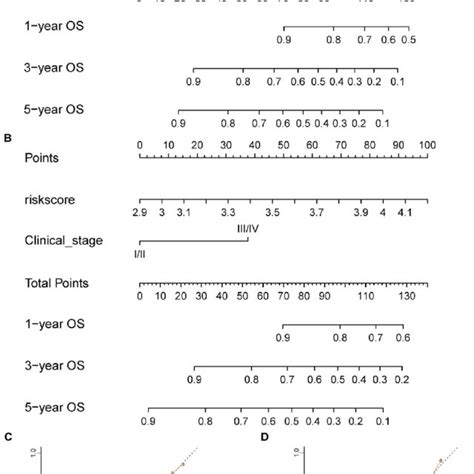 Establishment Of The Nomogram For Prediction Of HNSCC Prognosis A