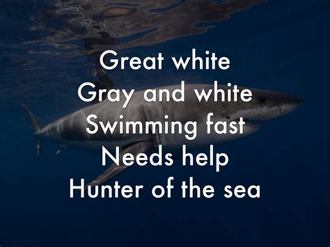 Shark Poems by Alex Townsend