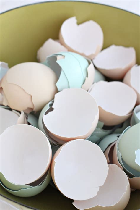 How To Prepare Egg Shells For Chickens Dans Le Lakehouse