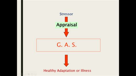 COPING WITH STRESS Flashcards Quizlet