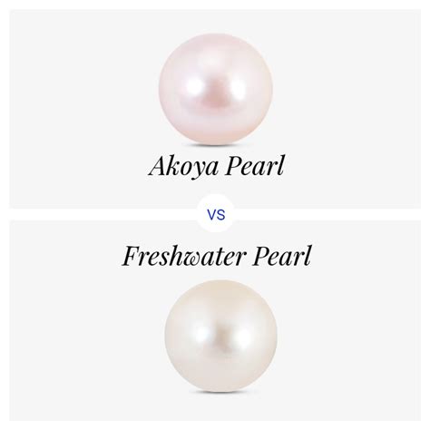 Akoya Vs Freshwater Which Pearl Should You Choose