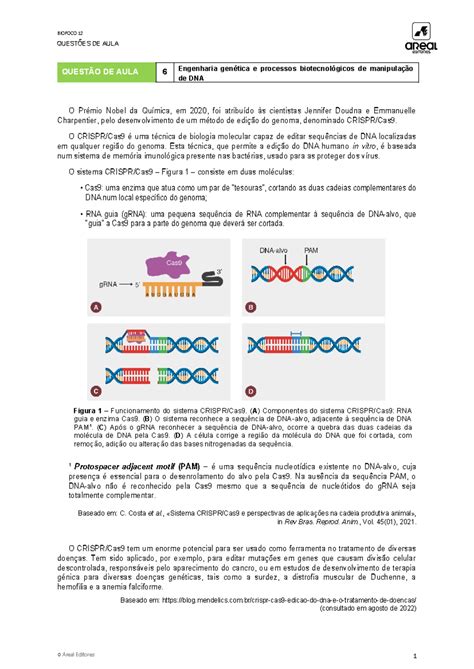 Bio12 qa6 Engenharia genética e processos biotecnológicos da