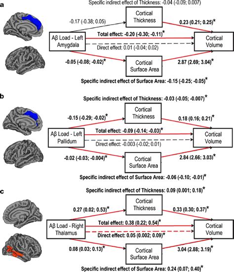 Mediation Models Of The Associations Between Subcortical Aβ Load In The