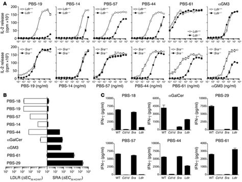 Jci Scavenger Receptors Target Glycolipids For Natural Killer T Cell