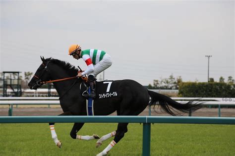 ここがおすすめ！中京競馬場での現地観戦について 馬キチ競馬馬キチ競馬