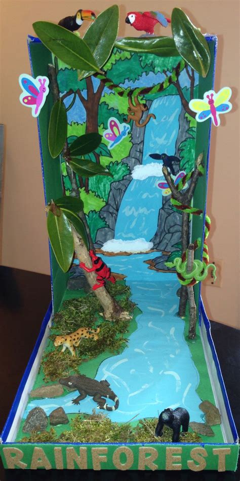 30 Best Shoebox Dioramas Images On Pinterest Rainforest Project