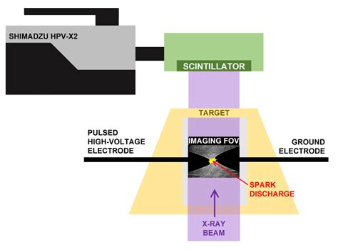 Simplified Schematic Of The Target And Field Of View For X Ray Imaging