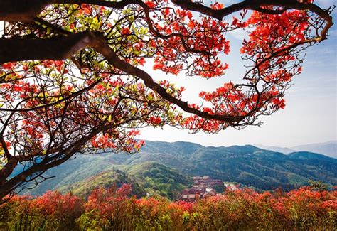 2023年湖南生态旅游节暨第十四届湖南·阳明山“和”文化旅游节（杜鹃花会）召开新闻发布会公共文化体育双牌县人民政府