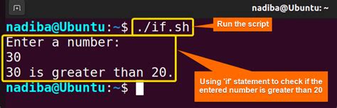 Bash Conditional Statements Linuxsimply