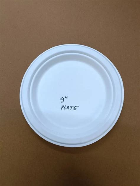 Inch Biodegradable Round Plate At Rs Piece Disposable Plate In