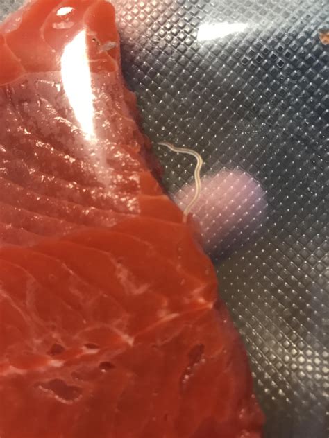 Parasite Worm In Fresh Sockeye Salmon R Costco